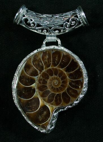 Fossil Ammonite Pendant - Million Years Old #8083